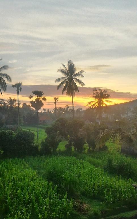 Bali Blue Gecko Villas Amed Extérieur photo